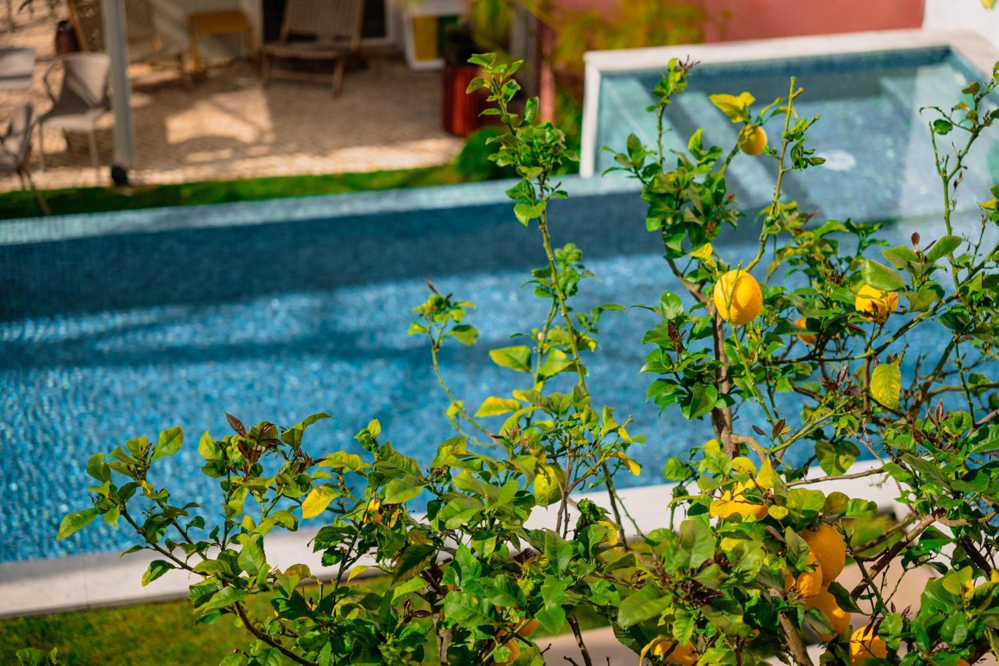 Jardim Da Lapa By Shiadu Hotel Lisbon Luaran gambar